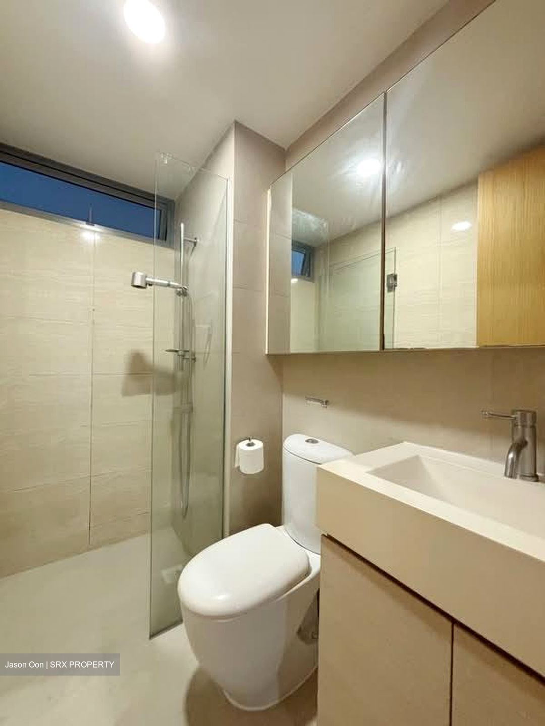 A Treasure Trove (D19), Condominium #594320921